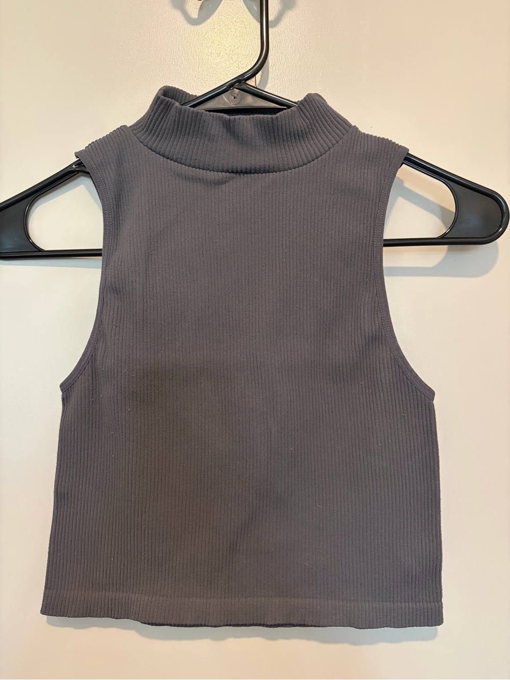 Zara Ribbed Mock Neck Crop Top